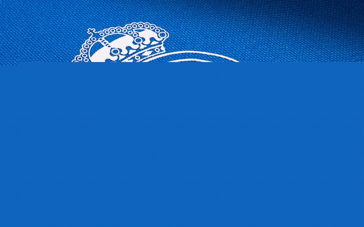 篮球的血脉 篮球的血脉