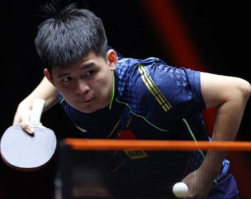 涵盖了几乎 涵盖了几乎