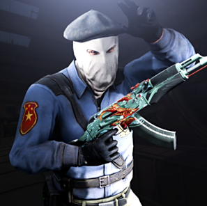 他们提供的 他们提供的